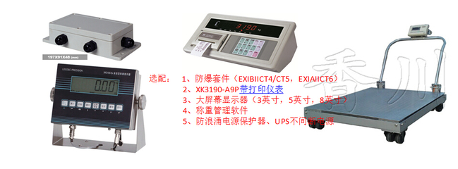 DCS-D 上虞直销3吨移动小型地磅1吨打印电子磅秤工业防爆称重电子秤手推电子地磅_实验仪器设备_天平衡器_台秤磅秤_产品库_中国化工仪器网